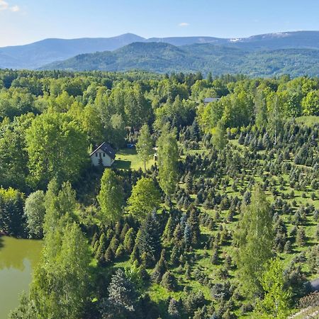 Agroturystyka - Srebrny Las Staniszow Zewnętrze zdjęcie