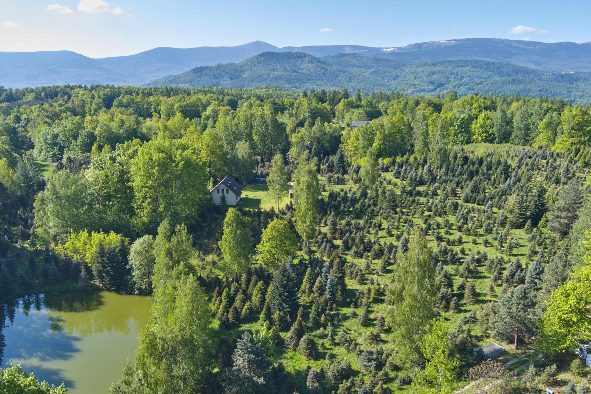 Agroturystyka - Srebrny Las Staniszow Zewnętrze zdjęcie